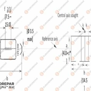 ERP 12V-C5W AMP - EUROREPAR