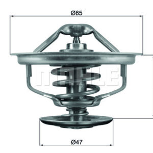 TERMOSTAT Thermostat insert - MAHLE