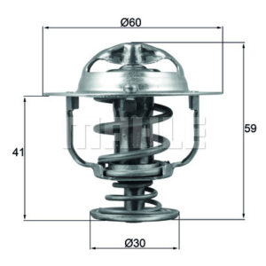 TERMOSTAT Thermostat insert - MAHLE