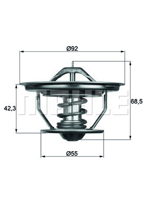 TERMOSTAT Thermostat insert - MAHLE