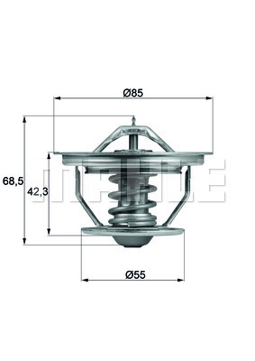 TERMOSTAT Thermostat insert - MAHLE