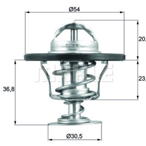 TERMOSTAT Thermostat insert - MAHLE