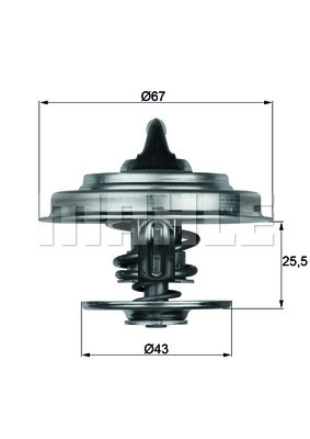 TERMOSTAT Thermostat insert - MAHLE