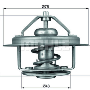 TERMOSTAT Thermostat insert - MAHLE