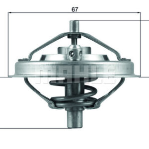 TERMOSTAT Thermostat insert - MAHLE