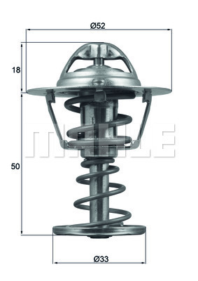 TERMOSTAT Thermostat insert - MAHLE