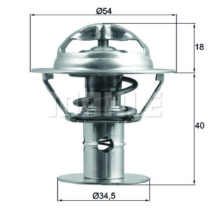 TERMOSTAT Thermostat insert - MAHLE