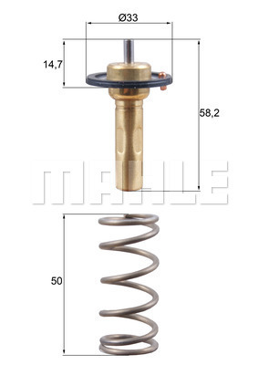 TERMOSTAT Thermostat insert - MAHLE