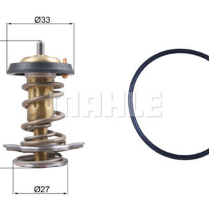 TERMOSTAT Thermostat insert - MAHLE