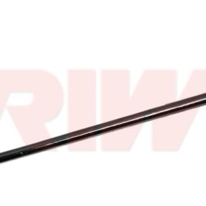 Z ROTU P206 05 CITROEN C2-C3 03 AML 40-00914 - RIW