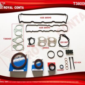 MOTOR TAKIM CONTA KEÇELİ LASTİKLİ PARTNER-BERLINGO-C15-JUMPY-XSARA 1.9 DW8 - ROYAL