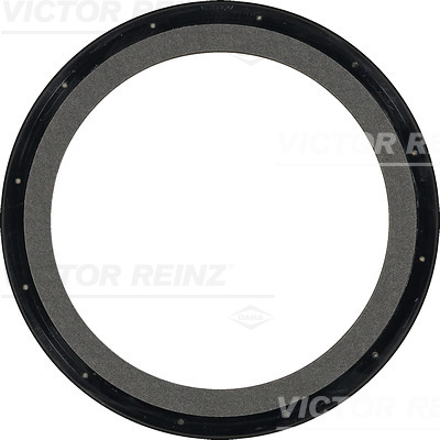 RADIAL OIL SEAL. CRANKSHAFT - V.REINZ