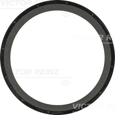 SHAFT SEAL. CRANKSHAFT - V.REINZ