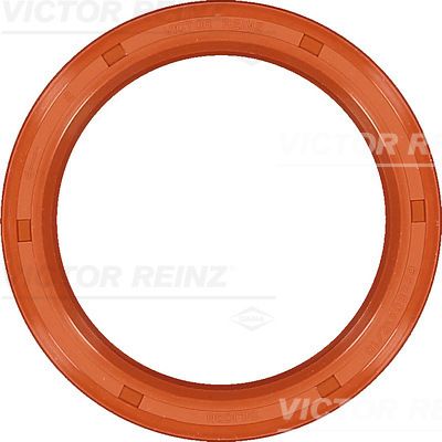 RADIAL OIL SEAL. CRANKSHAFT - V.REINZ