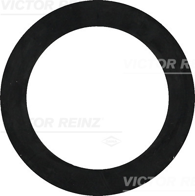 SEAL RING - V.REINZ