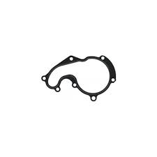 GASKET. WATER PUMP - V.REINZ