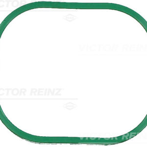 GASKET. INTAKE MANIFOLD - V.REINZ