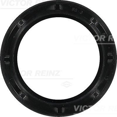 SHAFT SEAL. CRANKSHAFT - V.REINZ