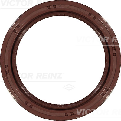 SHAFT SEAL. CRANKSHAFT - V.REINZ