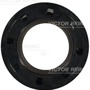 SHAFT OIL SEAL - V.REINZ