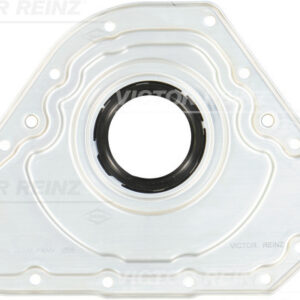 SHAFT OIL SEAL - V.REINZ