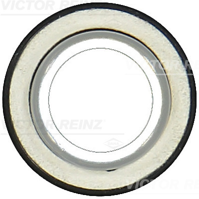 RADIAL OIL SEAL. CRANKSHAFT - V.REINZ