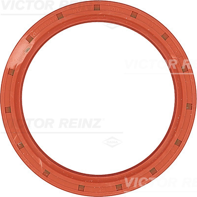 SHAFT OIL SEAL - V.REINZ