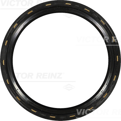 SHAFT OIL SEAL - V.REINZ