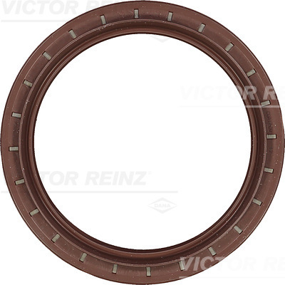 SHAFT OIL SEAL - V.REINZ