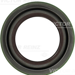 SHAFT OIL SEAL - V.REINZ