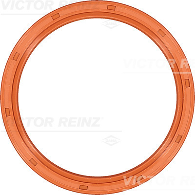 SHAFT OIL SEAL - V.REINZ