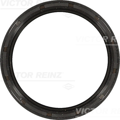 SHAFT OIL SEAL - V.REINZ