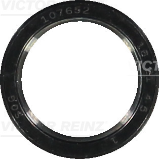 SHAFT OIL SEAL - V.REINZ