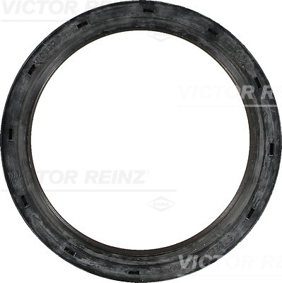 SHAFT OIL SEAL - V.REINZ