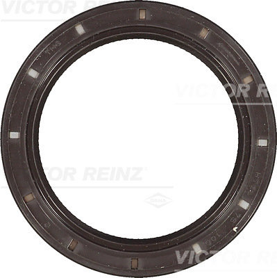 SHAFT OIL SEAL - V.REINZ