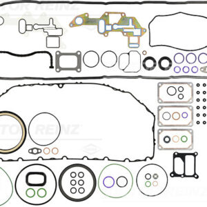 GASKET SET. CRANK CASE - V.REINZ