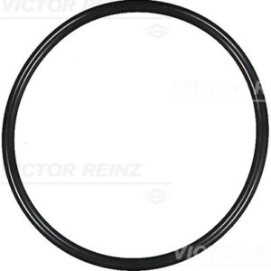 SEAL RING - V.REINZ