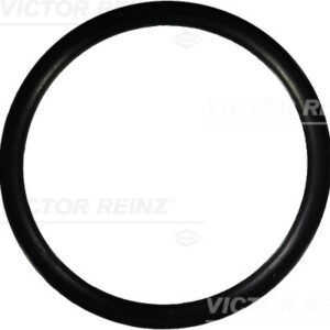 SEAL RING - V.REINZ