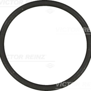 SEAL RING - V.REINZ