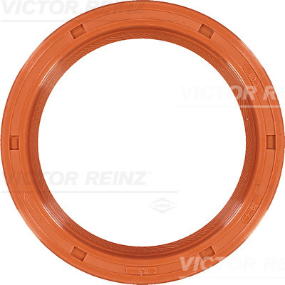 SHAFT SEAL. CRANKSHAFT - V.REINZ