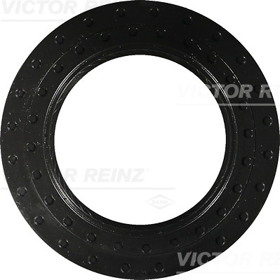 SHAFT OIL SEAL - V.REINZ