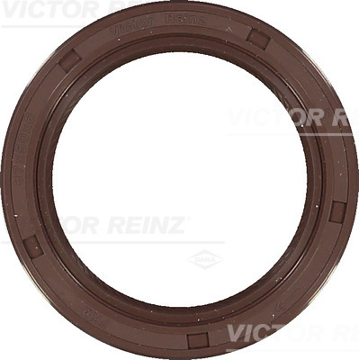 RADIAL OIL SEAL. CRANKSHAFT - V.REINZ