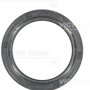 SHAFT OIL SEAL - V.REINZ