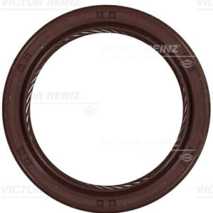 RADIAL OIL SEAL. CRANKSHAFT - V.REINZ