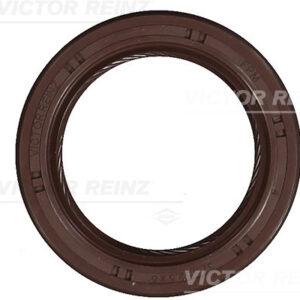 RADIAL OIL SEAL. CRANKSHAFT - V.REINZ