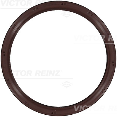 SHAFT OIL SEAL - V.REINZ