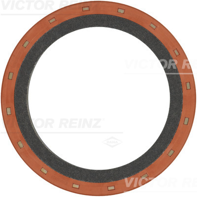 RADIAL OIL SEAL. CRANKSHAFT - V.REINZ