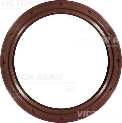 SHAFT OIL SEAL - V.REINZ