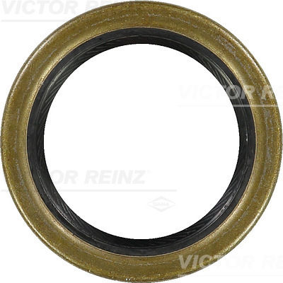 SHAFT OIL SEAL - V.REINZ