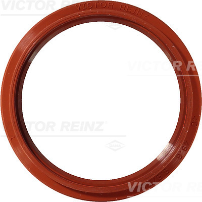 SHAFT OIL SEAL - V.REINZ